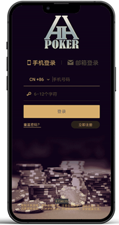 首次打开检查项示意