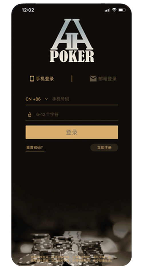 安装后界面示意